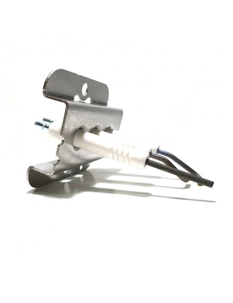 Electrodo