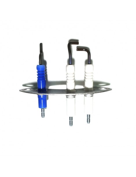 CONJUNTO DE ELECTRODOS