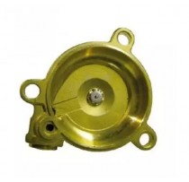 TAPA DEL CUERPO DE AGUA