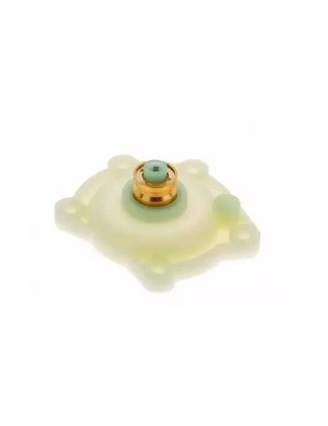Tapa WR (para diafragma ovalada)