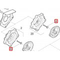 CLAVIJAS (10X)