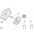 MEMBRANA (A)