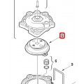 MEMBRANA (A)