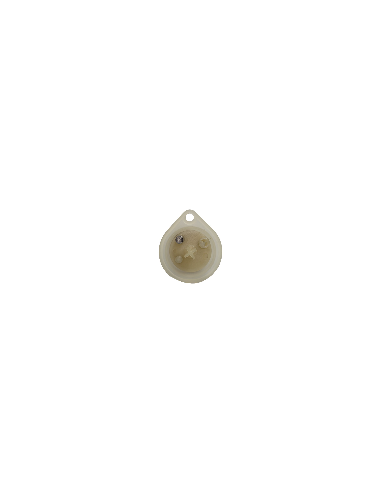 Membrana (F) (oval)