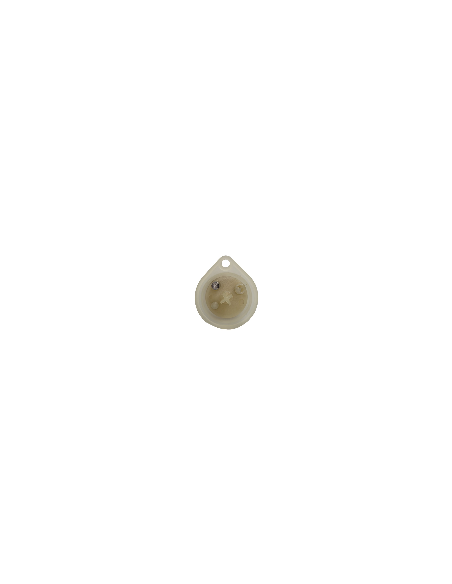 Membrana (F) (oval)